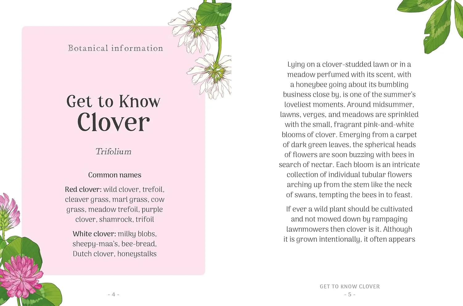 THE LITTLE WILD LIBRARY: CLOVER - Image 2