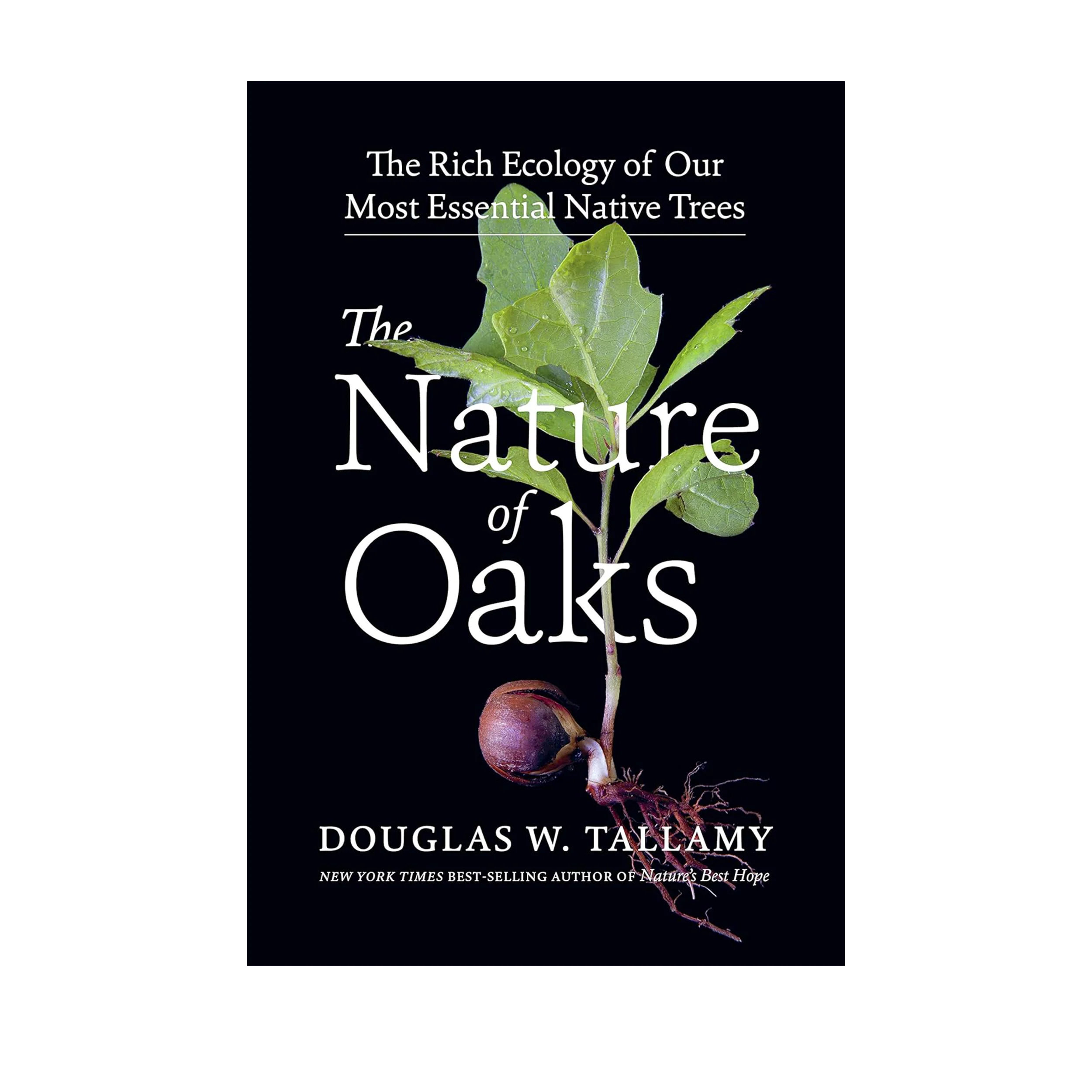 THE NATURE OF OAKS: THE RICH ECOLOGY OF OUR MOST ESSENTIAL NATIVE TREES