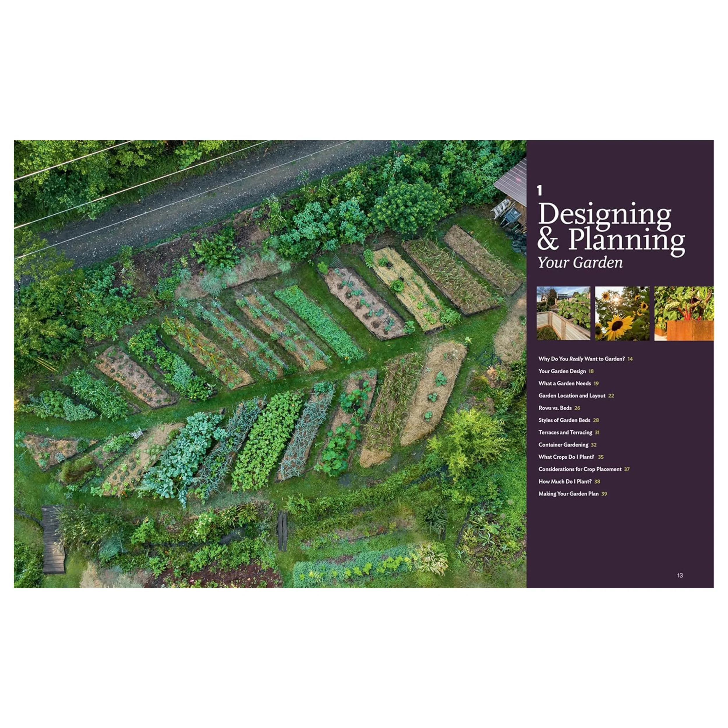 THE NEW NATURAL FOOD GARDEN - Image 5
