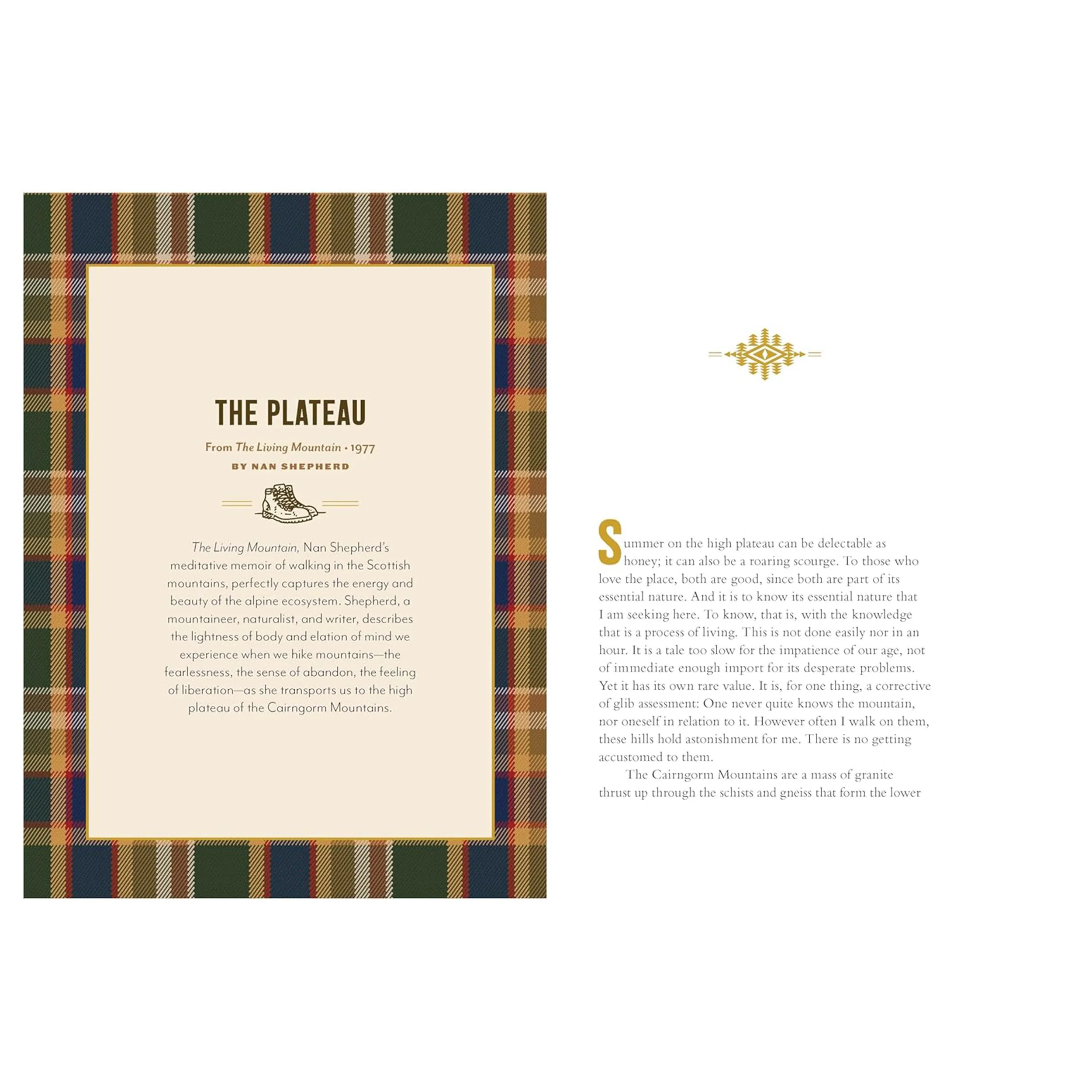 THE PENDLETON FIELD GUIDE TO CAMPFIRE STORIES - Image 3