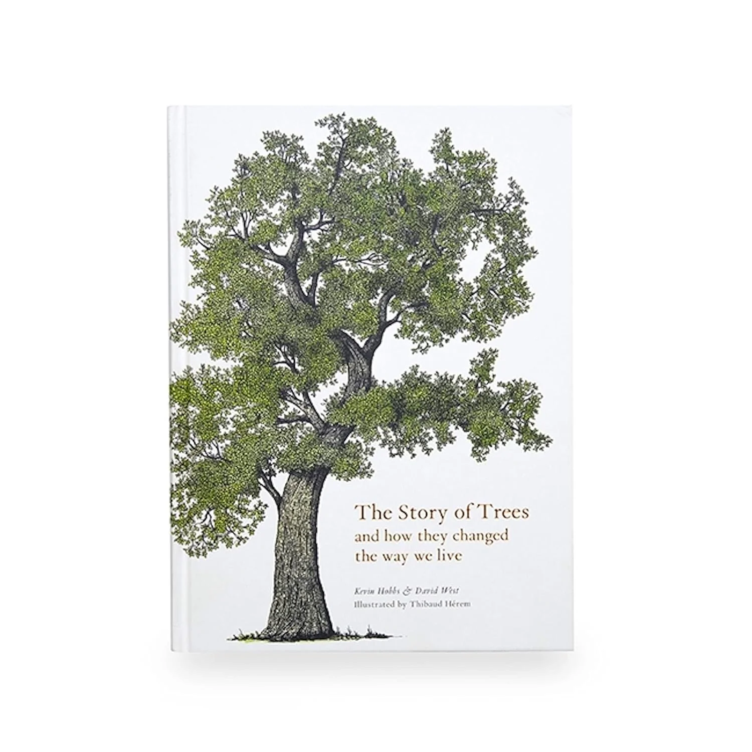 THE STORY OF TREES & HOW THEY CHANGED THE WAY WE LIVE