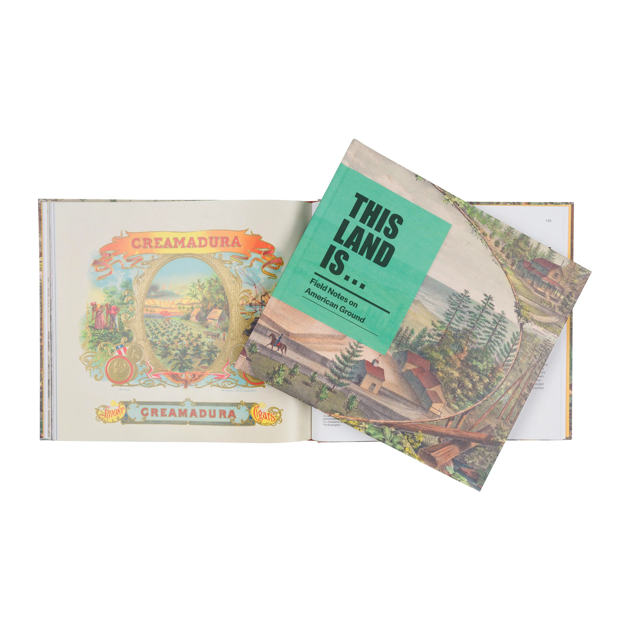 THIS LAND IS...:FIELD NOTES ON AMERICAN GROUND - Image 4
