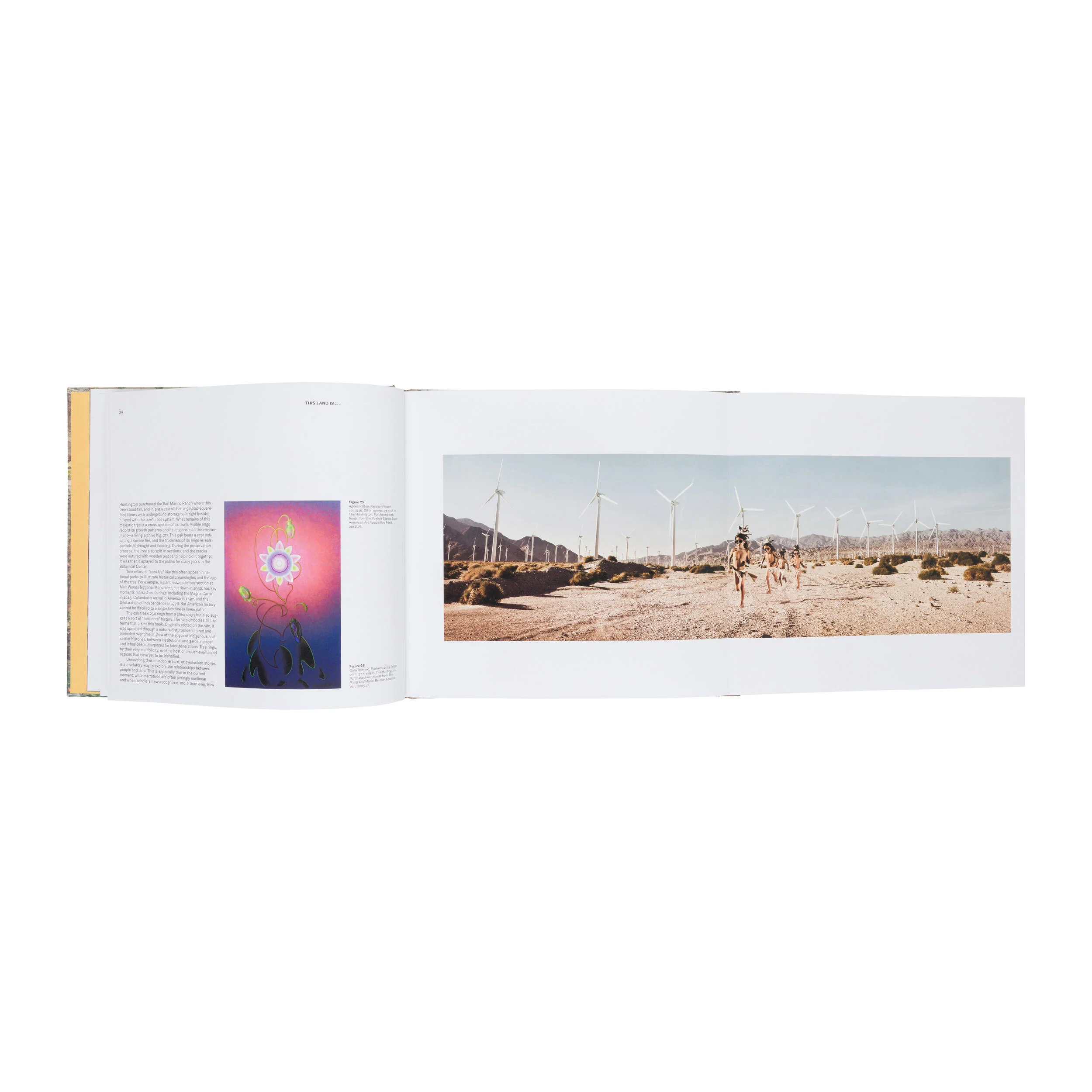 THIS LAND IS...:FIELD NOTES ON AMERICAN GROUND - Image 5