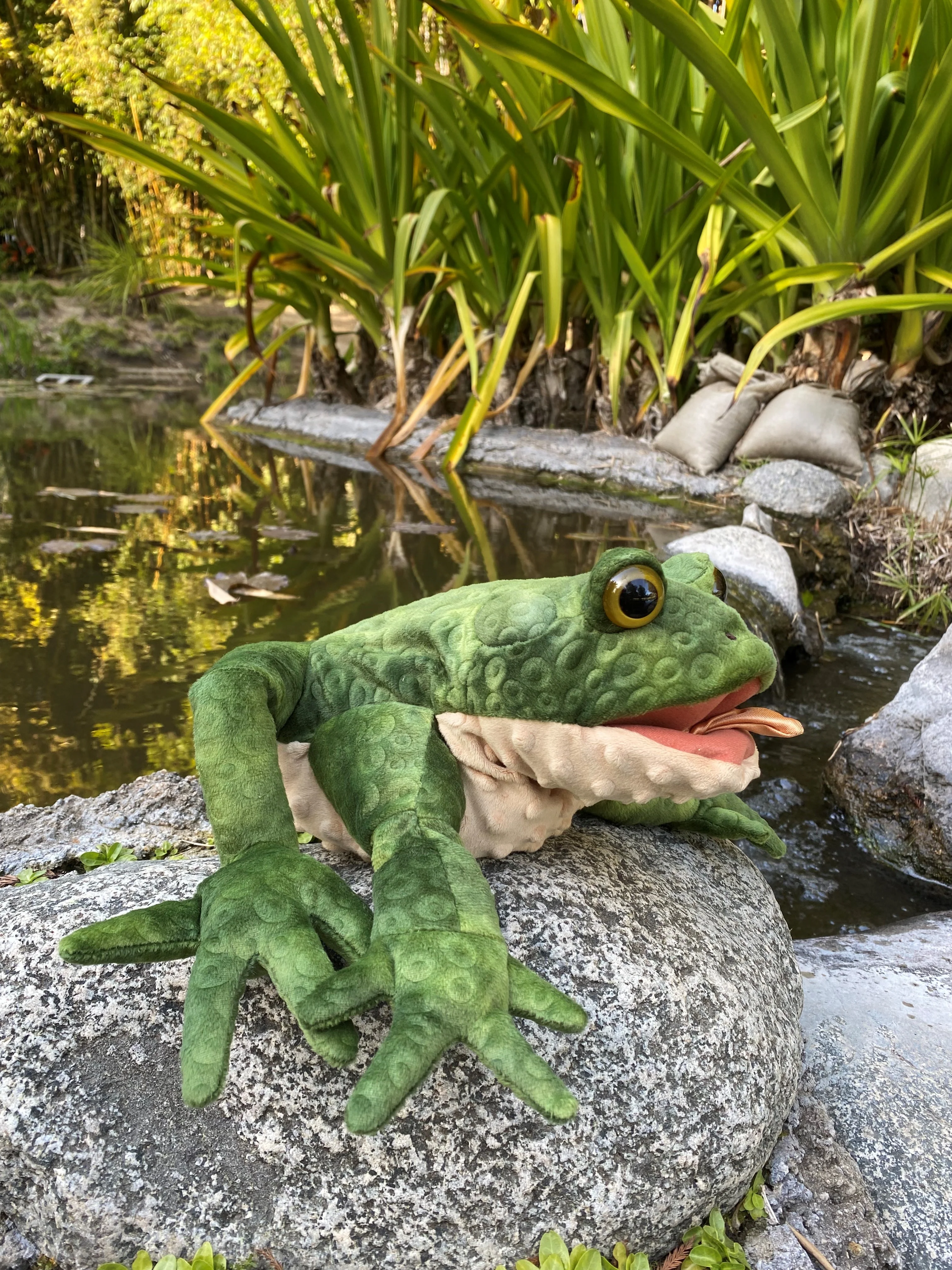 TOAD PUPPET - Image 4