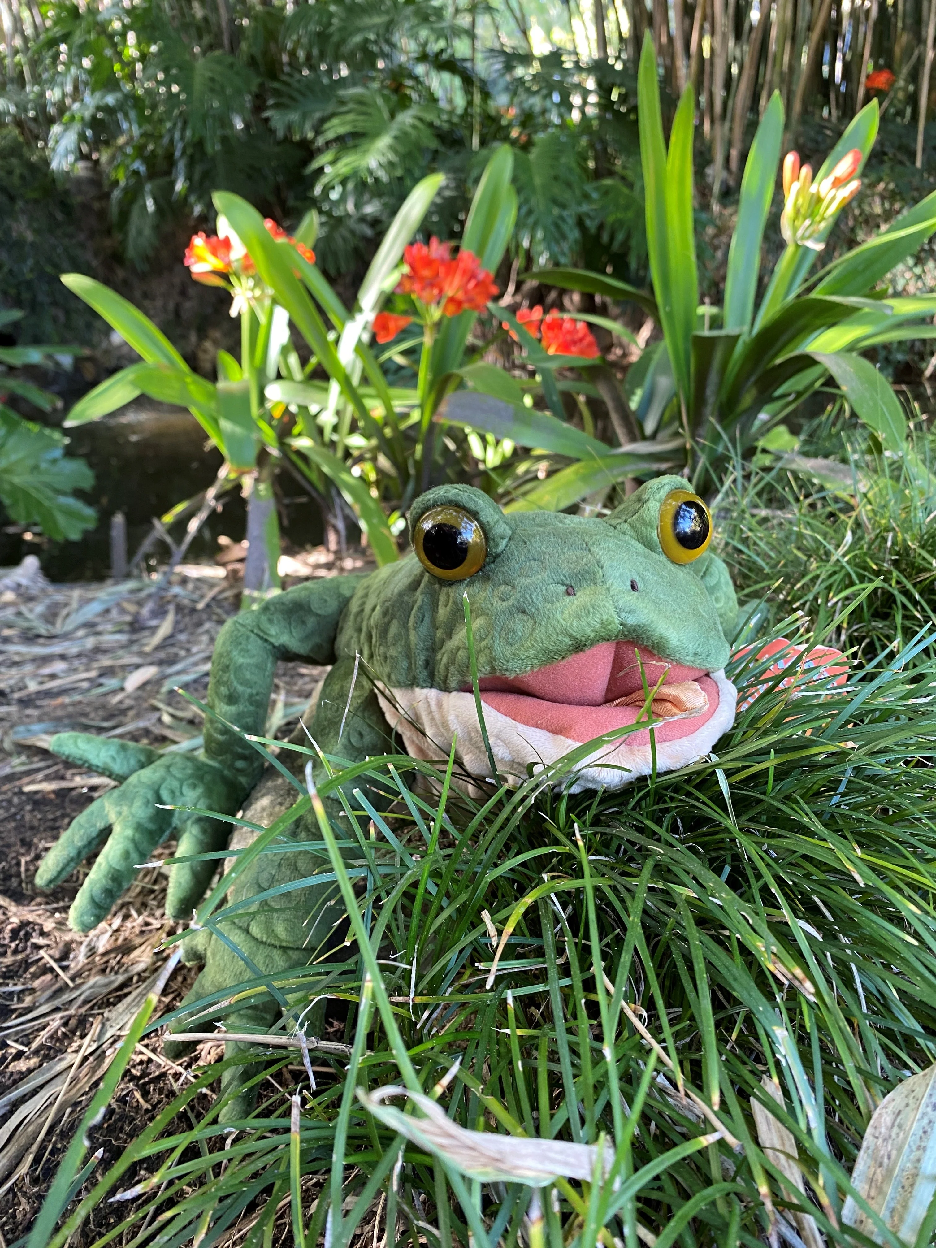 TOAD PUPPET - Image 6