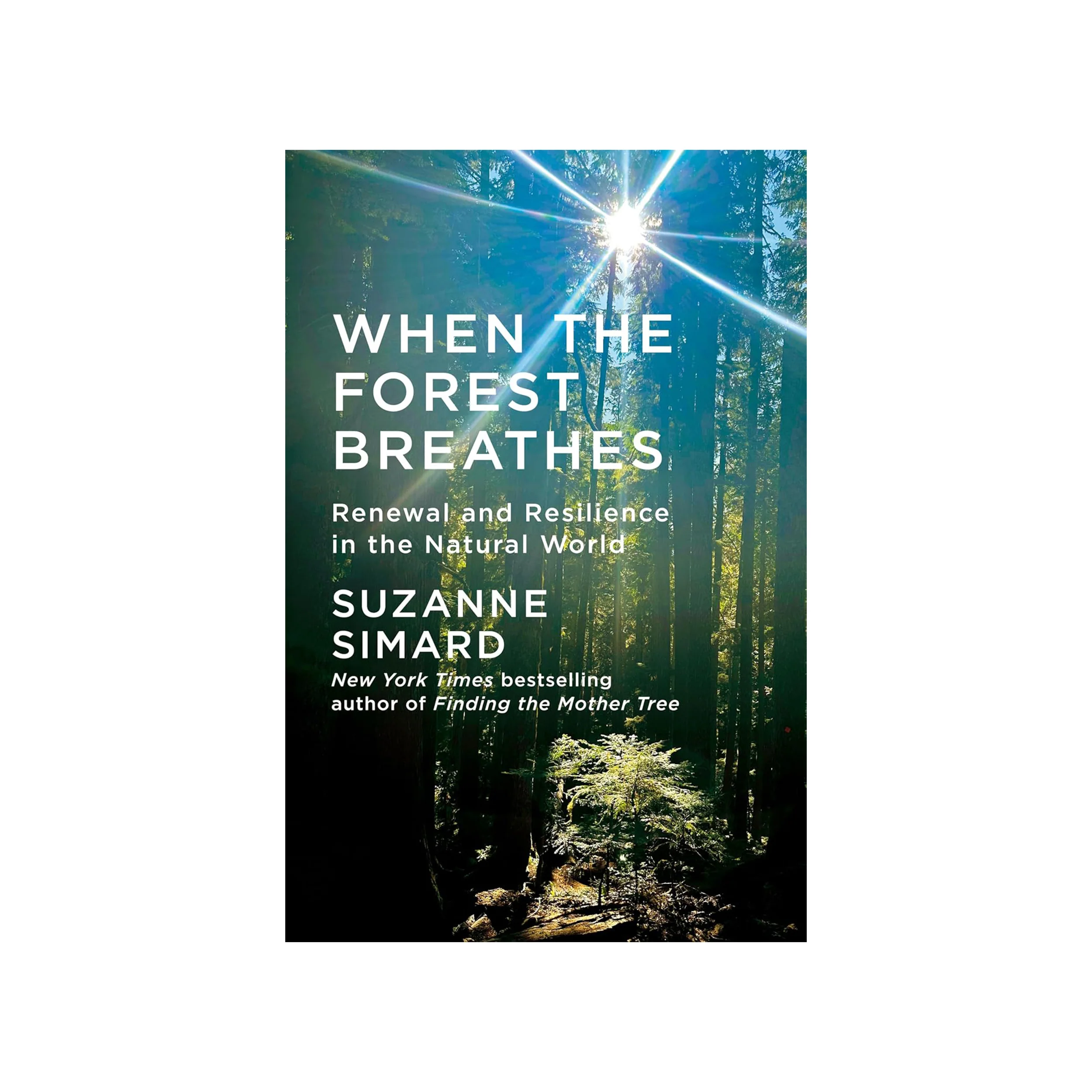 WHEN THE FOREST BREATHES: RENEWAL AND RESILIENCE IN THE NATURAL WORLD