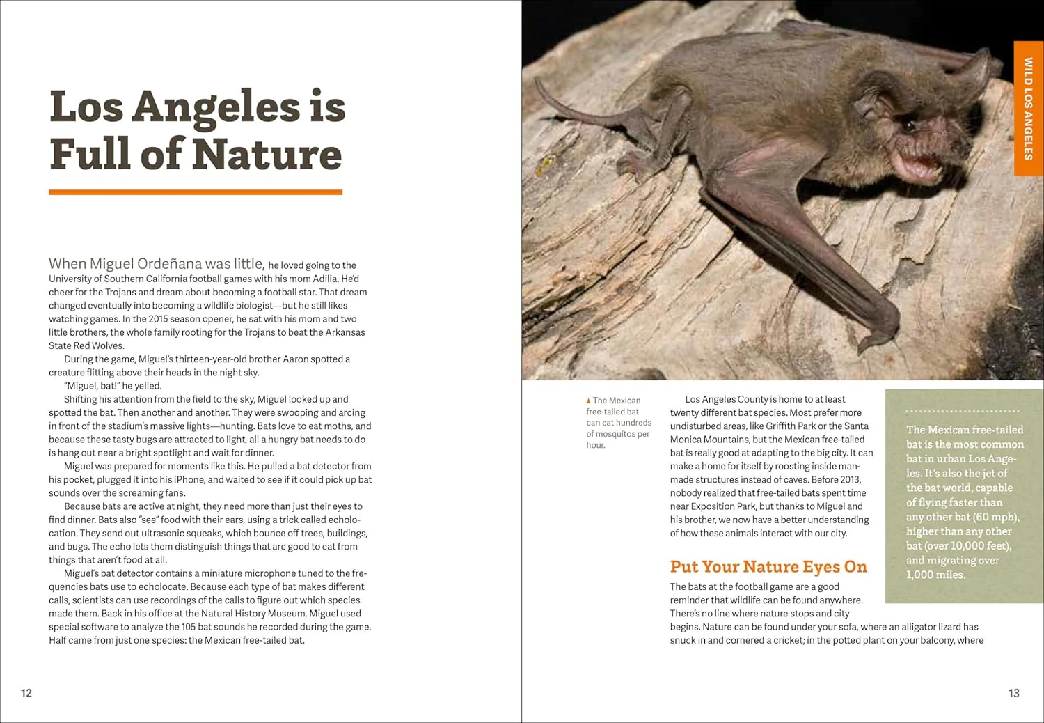 WILD LA - Image 2